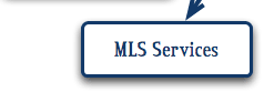 MLS Services: Submitting all key info with 10 photos; vital instructions and marketing verbiage